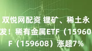 双悦网配资 锂矿、稀土永磁板块爆发！稀有金属ETF（159608）涨超7%